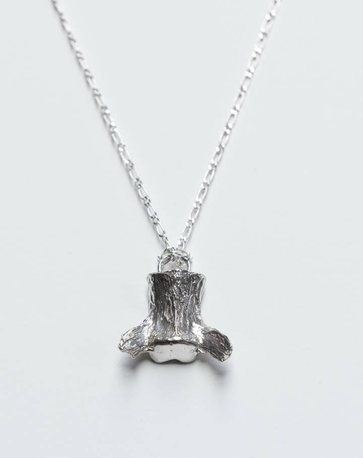 Collar Vertebra
