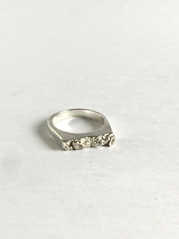 Anillo Micelio